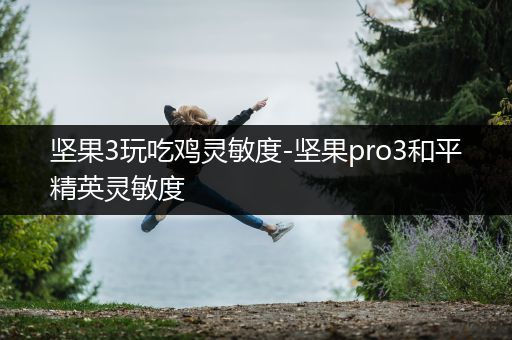 坚果3玩吃鸡灵敏度-坚果pro3和平精英灵敏度