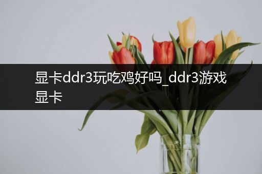 显卡ddr3玩吃鸡好吗_ddr3游戏显卡
