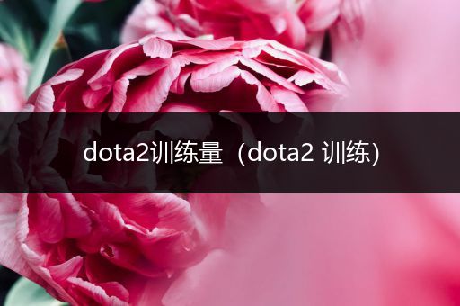 dota2训练量（dota2 训练）