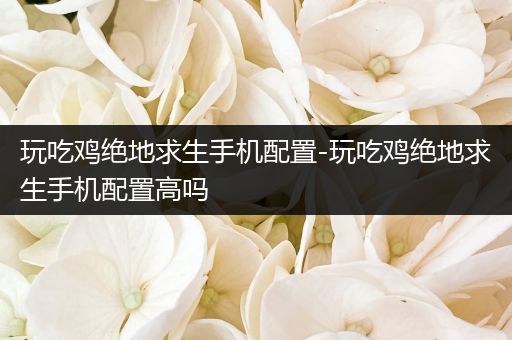 玩吃鸡绝地求生手机配置-玩吃鸡绝地求生手机配置高吗