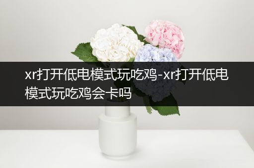 xr打开低电模式玩吃鸡-xr打开低电模式玩吃鸡会卡吗