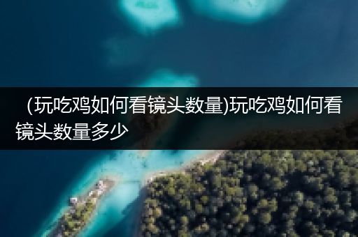 （玩吃鸡如何看镜头数量)玩吃鸡如何看镜头数量多少