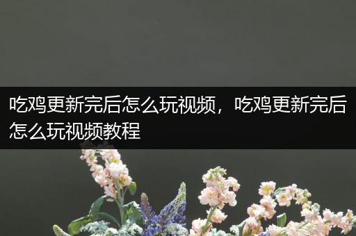 吃鸡更新完后怎么玩视频，吃鸡更新完后怎么玩视频教程