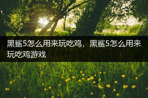 黑鲨5怎么用来玩吃鸡，黑鲨5怎么用来玩吃鸡游戏