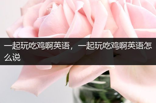 一起玩吃鸡啊英语，一起玩吃鸡啊英语怎么说