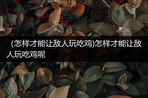 （怎样才能让敌人玩吃鸡)怎样才能让敌人玩吃鸡呢