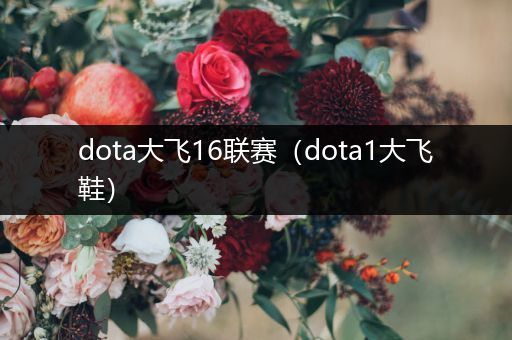 dota大飞16联赛（dota1大飞鞋）