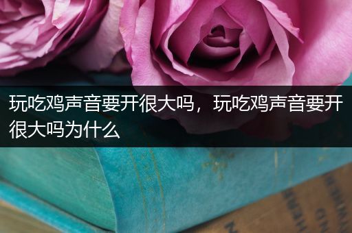 玩吃鸡声音要开很大吗，玩吃鸡声音要开很大吗为什么