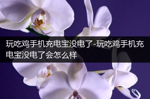 玩吃鸡手机充电宝没电了-玩吃鸡手机充电宝没电了会怎么样