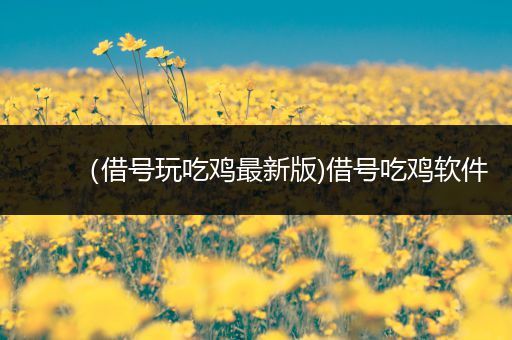 （借号玩吃鸡最新版)借号吃鸡软件