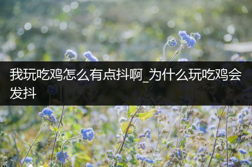 我玩吃鸡怎么有点抖啊_为什么玩吃鸡会发抖
