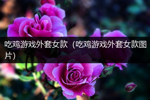 吃鸡游戏外套女款（吃鸡游戏外套女款图片）