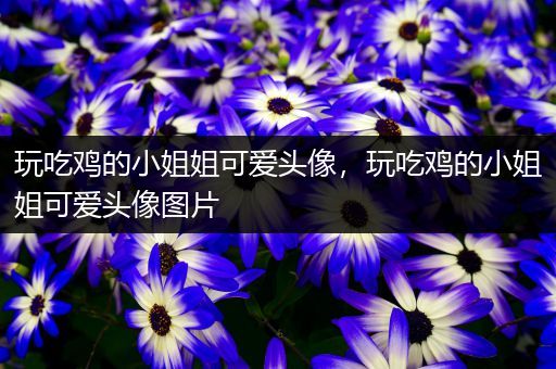 玩吃鸡的小姐姐可爱头像，玩吃鸡的小姐姐可爱头像图片