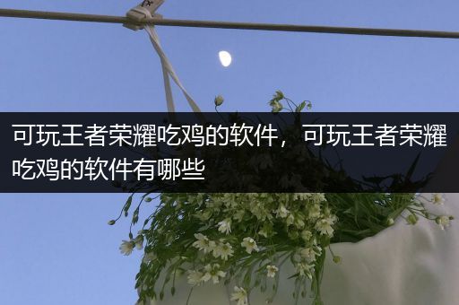 可玩王者荣耀吃鸡的软件，可玩王者荣耀吃鸡的软件有哪些