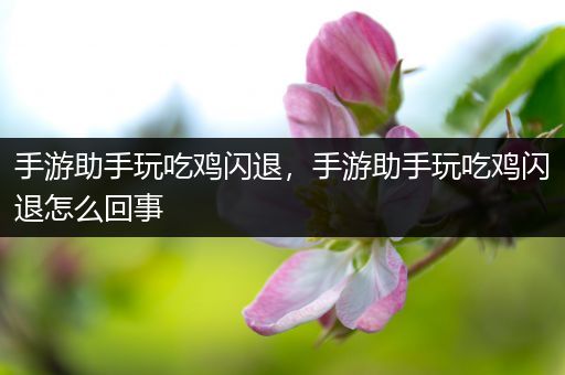 手游助手玩吃鸡闪退，手游助手玩吃鸡闪退怎么回事