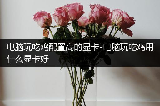 电脑玩吃鸡配置高的显卡-电脑玩吃鸡用什么显卡好