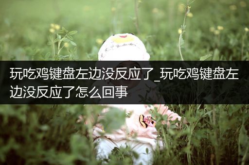 玩吃鸡键盘左边没反应了_玩吃鸡键盘左边没反应了怎么回事