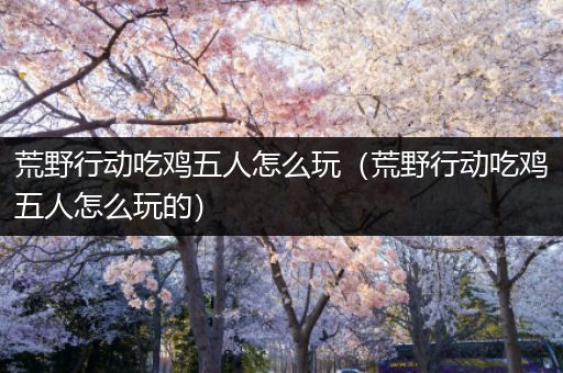 荒野行动吃鸡五人怎么玩（荒野行动吃鸡五人怎么玩的）
