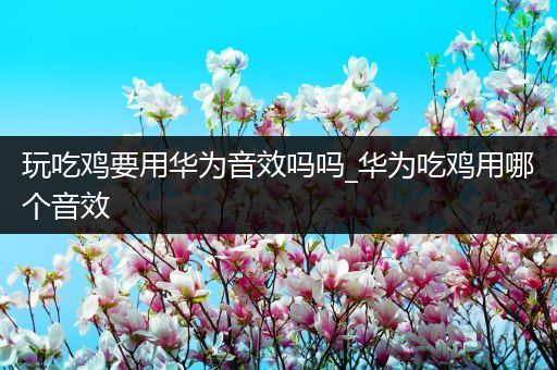 玩吃鸡要用华为音效吗吗_华为吃鸡用哪个音效