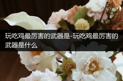 玩吃鸡最厉害的武器是-玩吃鸡最厉害的武器是什么