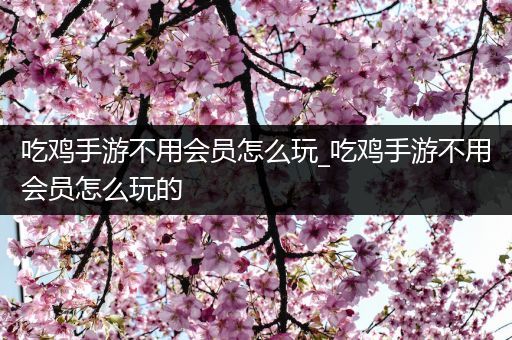 吃鸡手游不用会员怎么玩_吃鸡手游不用会员怎么玩的