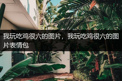 我玩吃鸡很六的图片，我玩吃鸡很六的图片表情包