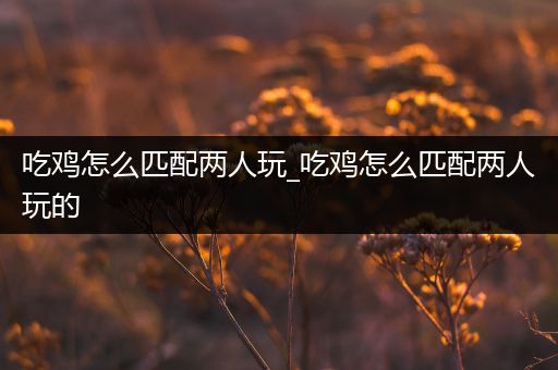 吃鸡怎么匹配两人玩_吃鸡怎么匹配两人玩的