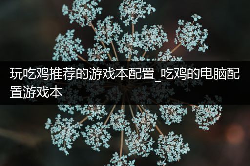 玩吃鸡推荐的游戏本配置_吃鸡的电脑配置游戏本