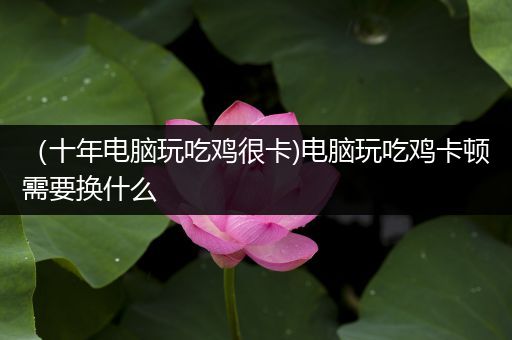 （十年电脑玩吃鸡很卡)电脑玩吃鸡卡顿需要换什么