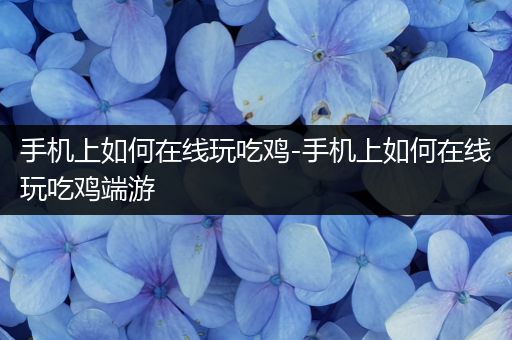 手机上如何在线玩吃鸡-手机上如何在线玩吃鸡端游