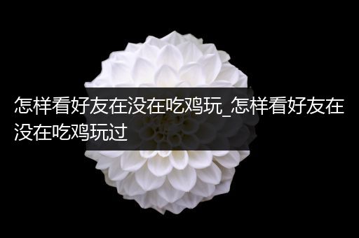 怎样看好友在没在吃鸡玩_怎样看好友在没在吃鸡玩过