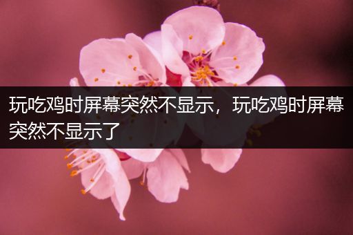 玩吃鸡时屏幕突然不显示，玩吃鸡时屏幕突然不显示了