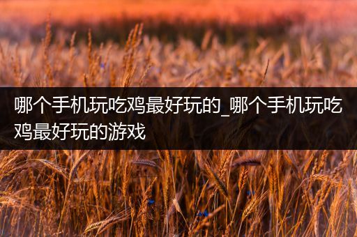 哪个手机玩吃鸡最好玩的_哪个手机玩吃鸡最好玩的游戏