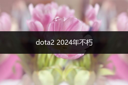dota2 2024年不朽