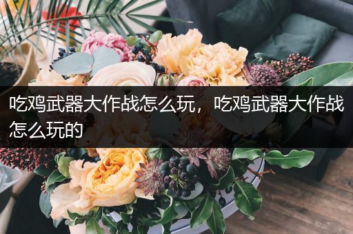 吃鸡武器大作战怎么玩，吃鸡武器大作战怎么玩的
