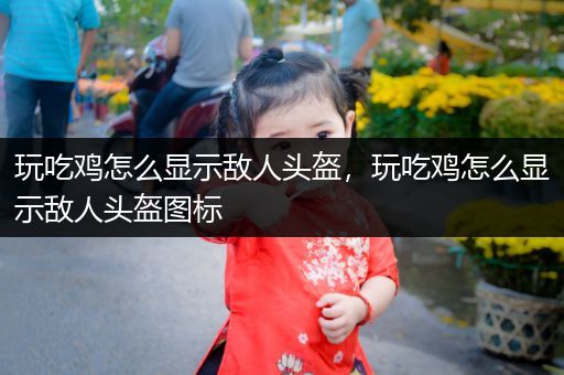 玩吃鸡怎么显示敌人头盔，玩吃鸡怎么显示敌人头盔图标