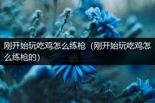 刚开始玩吃鸡怎么练枪（刚开始玩吃鸡怎么练枪的）