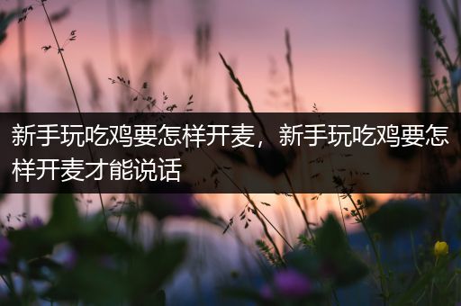 新手玩吃鸡要怎样开麦，新手玩吃鸡要怎样开麦才能说话