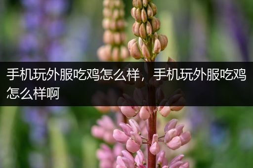手机玩外服吃鸡怎么样，手机玩外服吃鸡怎么样啊