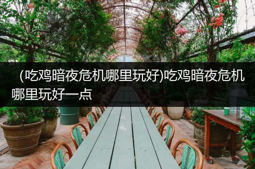 （吃鸡暗夜危机哪里玩好)吃鸡暗夜危机哪里玩好一点