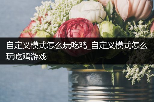 自定义模式怎么玩吃鸡_自定义模式怎么玩吃鸡游戏