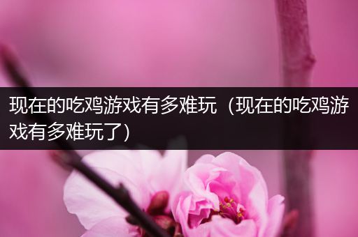 现在的吃鸡游戏有多难玩（现在的吃鸡游戏有多难玩了）