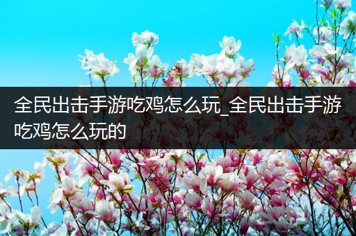 全民出击手游吃鸡怎么玩_全民出击手游吃鸡怎么玩的