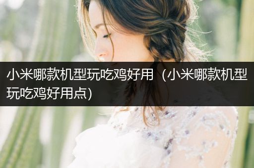 小米哪款机型玩吃鸡好用（小米哪款机型玩吃鸡好用点）