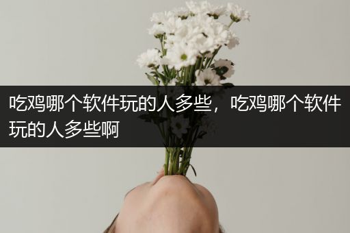 吃鸡哪个软件玩的人多些，吃鸡哪个软件玩的人多些啊