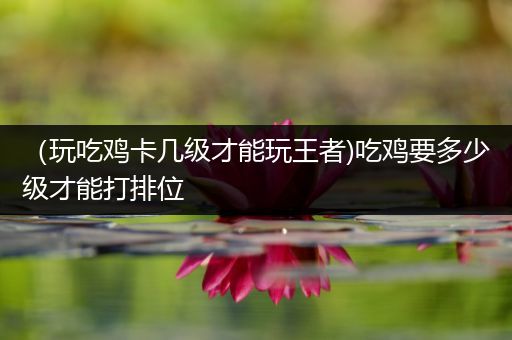 （玩吃鸡卡几级才能玩王者)吃鸡要多少级才能打排位