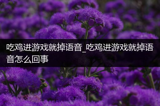 吃鸡进游戏就掉语音_吃鸡进游戏就掉语音怎么回事
