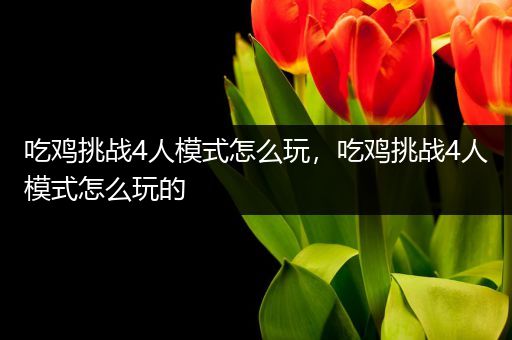 吃鸡挑战4人模式怎么玩，吃鸡挑战4人模式怎么玩的