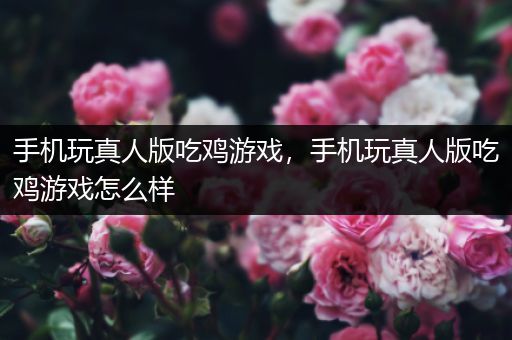 手机玩真人版吃鸡游戏，手机玩真人版吃鸡游戏怎么样