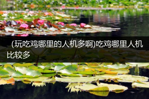 （玩吃鸡哪里的人机多啊)吃鸡哪里人机比较多